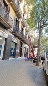 WhatsApp Image 2026-02-14 at 18.48.23 (4)